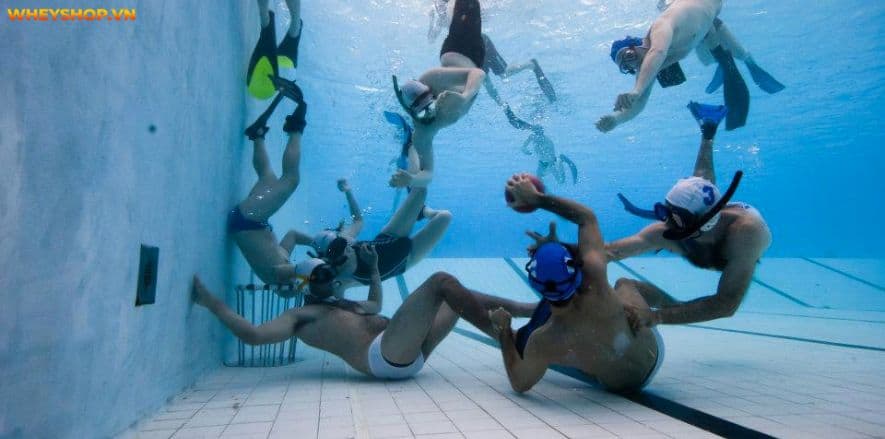 Bóng nước là môn thể thao đồng đội dưới nước. Mọi thông tin về môn bóng nước sẽ được giới thiệu qua bài viết này của WheyShop, hãy cùng tìm tìm hiểu...