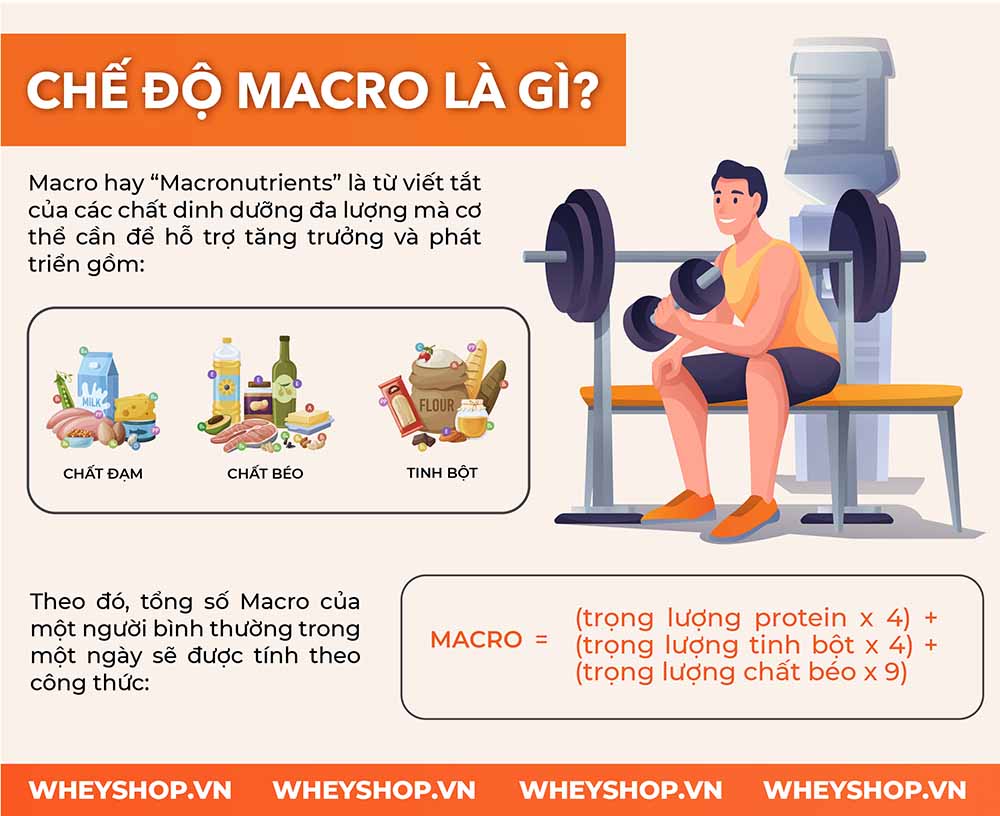 Macro là gì? Tại sao gymer được khuyên phải tính chỉ số Macro trong chế độ dinh dưỡng? Hãy cùng WheyShop tìm hiểu qua bài viết này nhé