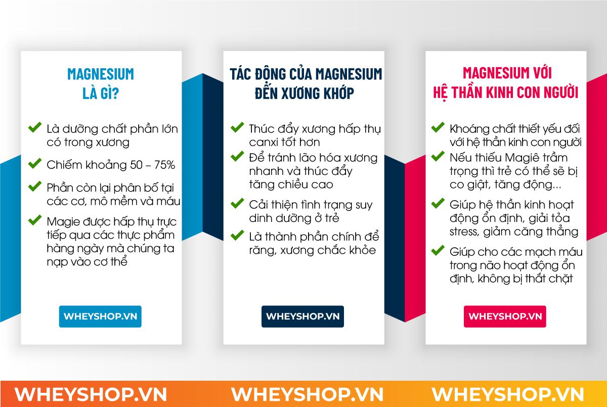 Nếu bạn đang băn khoăn chưa hiểu rõ Magnesium là gì thì hãy cùng WheyShop tìm hiểu lợi ích vai trò của Magnesium với sức khỏe người tập gym, thể hình...