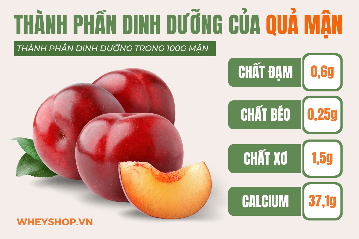 Nếu bạn đang băn khoăn ăn mận có mập không thì hãy cùng WheyShop tìm hiểu mận bao nhiêu calo và ăn mận có béo không qua bài viết...