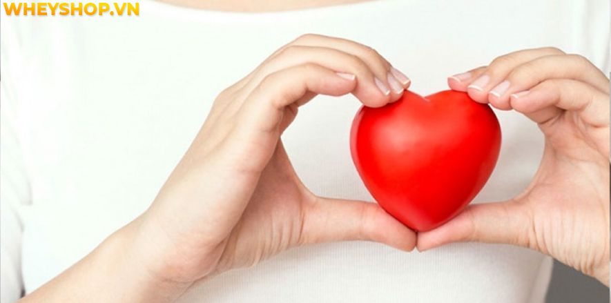 Nếu bạn đang băn khoăn ăn mận có mập không thì hãy cùng WheyShop tìm hiểu mận bao nhiêu calo và ăn mận có béo không qua bài viết...