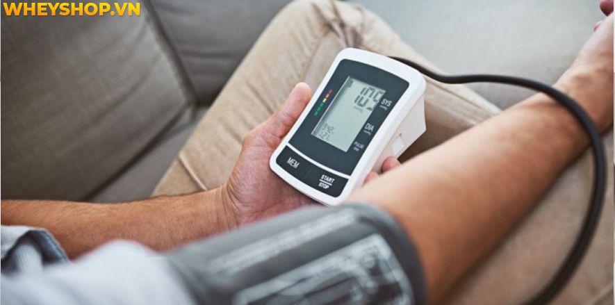 Nếu bạn đang băn khoăn ăn mận có mập không thì hãy cùng WheyShop tìm hiểu mận bao nhiêu calo và ăn mận có béo không qua bài viết...
