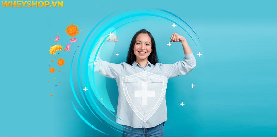 Nếu bạn đang băn khoăn tìm hiểu bột yến mạch mua ở đâu thì hãy cùng WheyShop tham khảo địa chỉ mua bột yến mạch giá rẻ, chất lượng tại Hà Nội TpHCM..