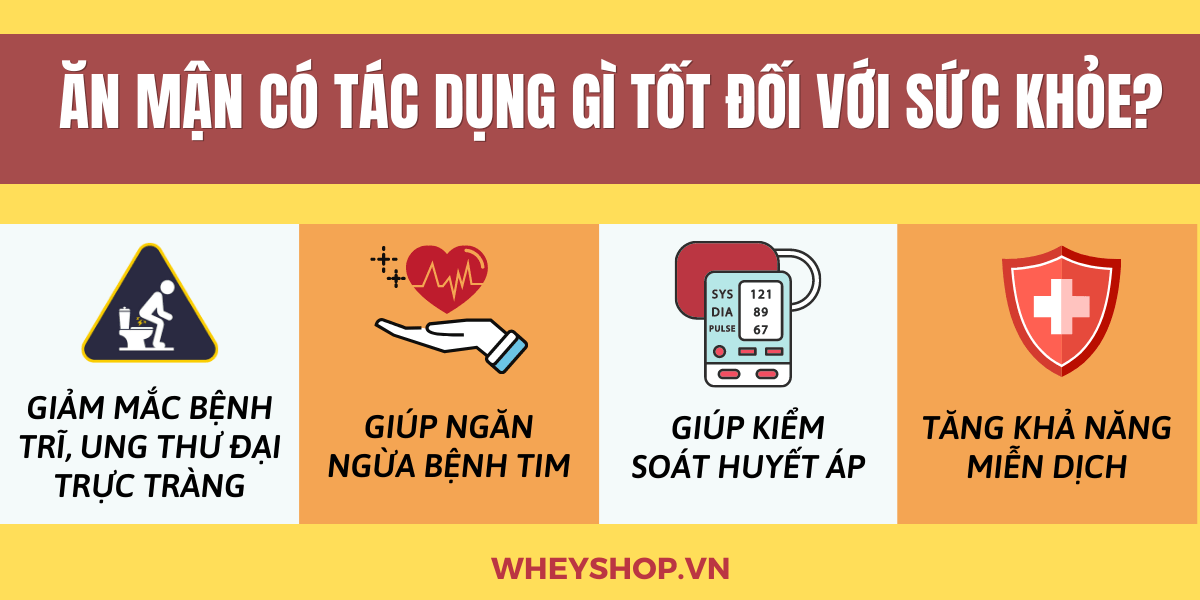 Nếu bạn đang băn khoăn ăn mận có mập không thì hãy cùng WheyShop tìm hiểu mận bao nhiêu calo và ăn mận có béo không qua bài viết...