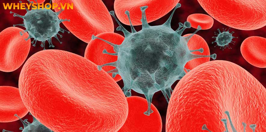 Nếu bạn đang băn khoăn lo lắng việc mang thai 4 tuần bị ra máu có sao không thì hãy cùng WheyShop tham khảo chi tiết bài viết...