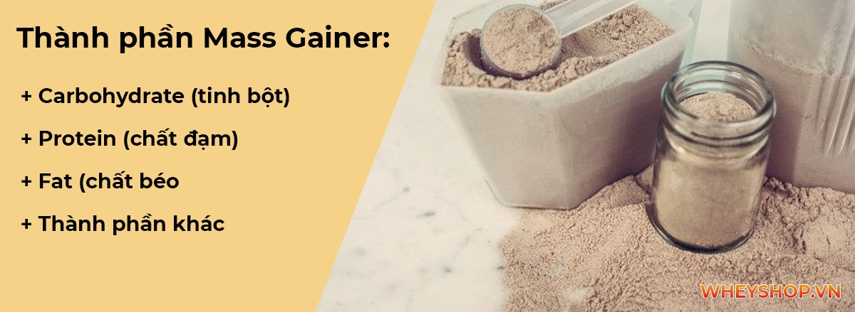 Mass gainer là gì ? Cùng WheyShop tìm hiểu về Sữa tăng cân Mass Gainer và cách pha Mass Gainer tăng cân nhanh hiệu quả nhất dành cho người mới sử dụng...