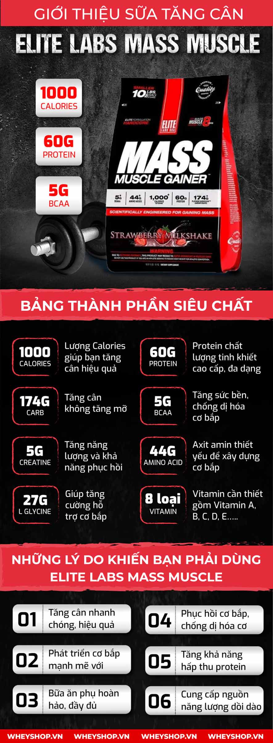 MASS MUSCLE GAINER 10LBS tăng cân tăng cơ vượt trội