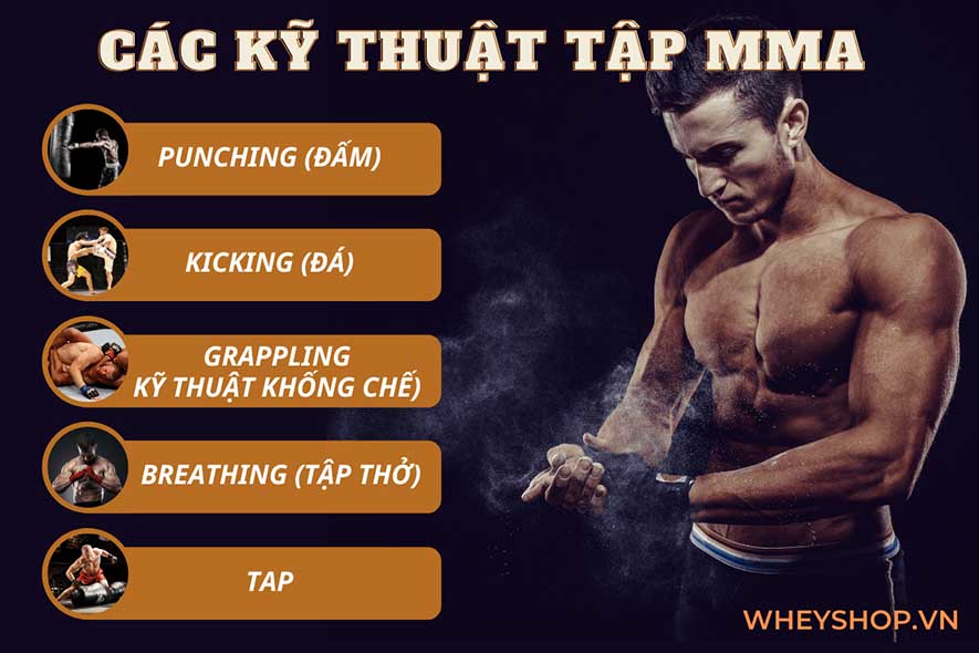 MMA là gì mà tại sao nhiều người lại biết đến và nhanh chóng trở nên phổ biến như vậy trên toàn thế giới? Hãy cùng WheyShop tìm hiểu tất cả những thông tin...