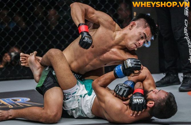 MMA là gì mà tại sao nhiều người lại biết đến và nhanh chóng trở nên phổ biến như vậy trên toàn thế giới? Hãy cùng WheyShop tìm hiểu tất cả những thông tin...
