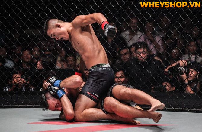 MMA là gì mà tại sao nhiều người lại biết đến và nhanh chóng trở nên phổ biến như vậy trên toàn thế giới? Hãy cùng WheyShop tìm hiểu tất cả những thông tin...