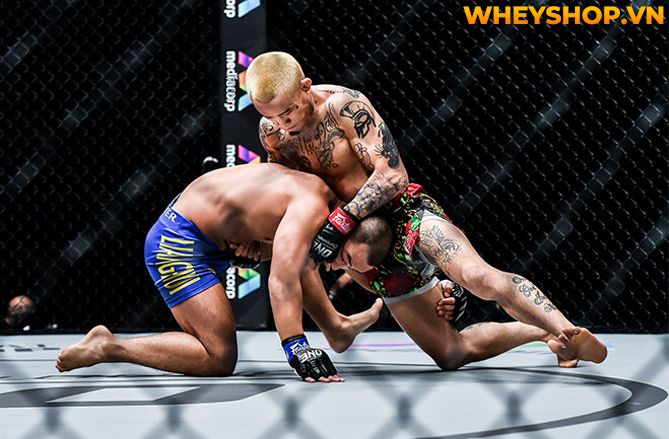MMA là gì mà tại sao nhiều người lại biết đến và nhanh chóng trở nên phổ biến như vậy trên toàn thế giới? Hãy cùng WheyShop tìm hiểu tất cả những thông tin...