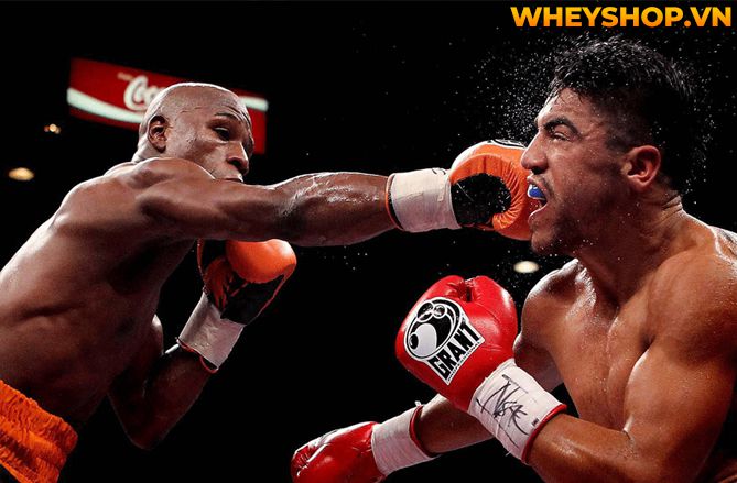 MMA là gì mà tại sao nhiều người lại biết đến và nhanh chóng trở nên phổ biến như vậy trên toàn thế giới? Hãy cùng WheyShop tìm hiểu tất cả những thông tin...