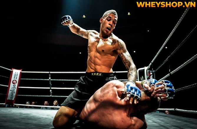 MMA là gì mà tại sao nhiều người lại biết đến và nhanh chóng trở nên phổ biến như vậy trên toàn thế giới? Hãy cùng WheyShop tìm hiểu tất cả những thông tin...