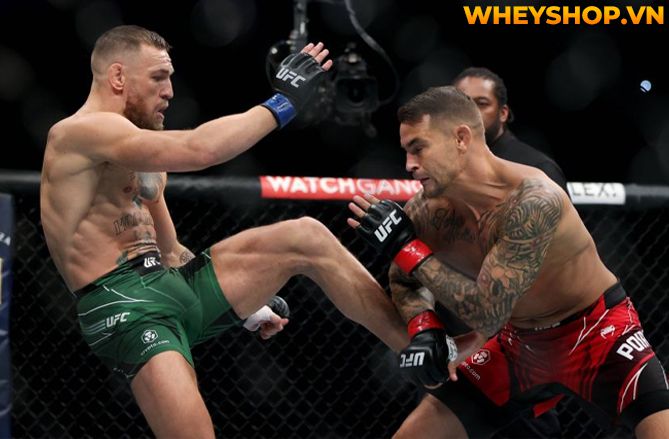MMA là gì mà tại sao nhiều người lại biết đến và nhanh chóng trở nên phổ biến như vậy trên toàn thế giới? Hãy cùng WheyShop tìm hiểu tất cả những thông tin...