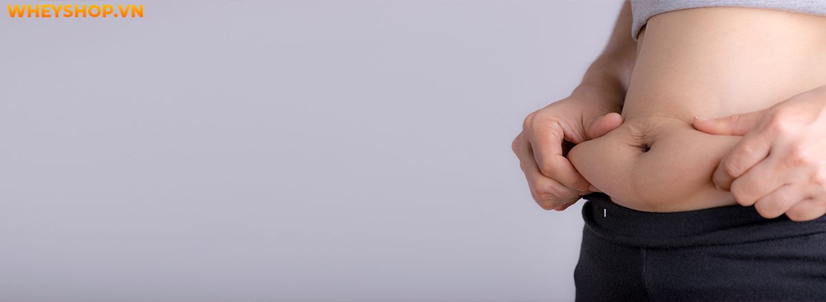 Nếu bạn đang tìm kiểm bài tập giảm mỡ bụng dưới hiệu quả thì hãy cùng WheyShop điểm qua 15 bài tập giảm mỡ bụng dưới qua bài viết...