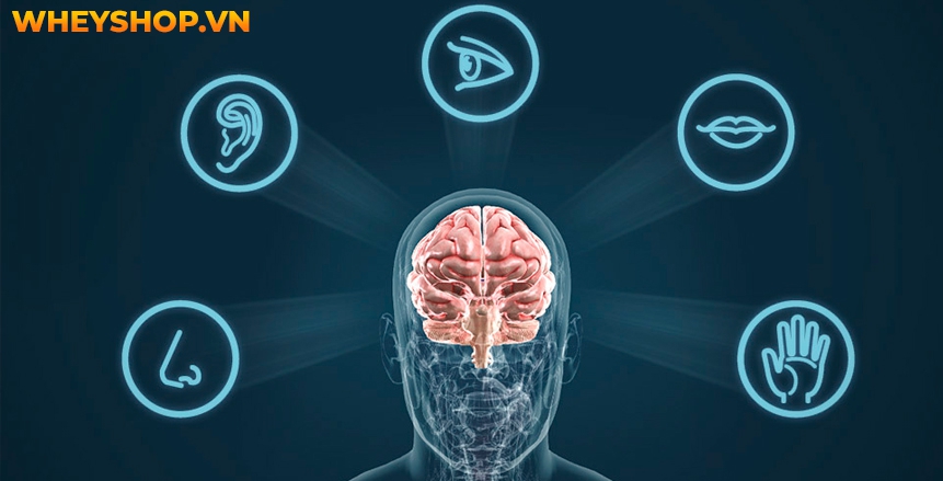 Yoga khỏa thân vốn là một khái niệm không quá mới mẻ, nhưng nhờ vào mạng xã hội hay tiêu biểu hơn là Instagram mà nó đang trở thành m���t trào lưu được nhiều...