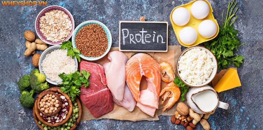 Nếu bạn chưa biết một ngày nên ăn bao nhiêu calo để giảm cân thì bài viết dưới đây WheyShop sẽ cung cấp cho bạn con số tương đối chính xác và cách đo lượng...