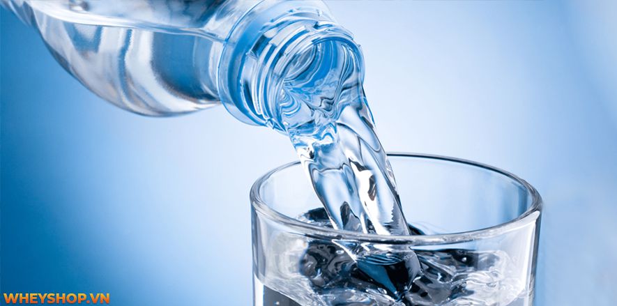 Nếu bạn chưa biết một ngày nên ăn bao nhiêu calo để giảm cân thì bài viết dưới đây WheyShop sẽ cung cấp cho bạn con số tương đối chính xác và cách đo lượng...