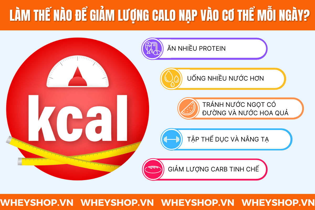 Nếu bạn chưa biết một ngày nên ăn bao nhiêu calo để giảm cân thì bài viết dưới đây WheyShop sẽ cung cấp cho bạn con số tương đối chính xác và cách đo lượng...