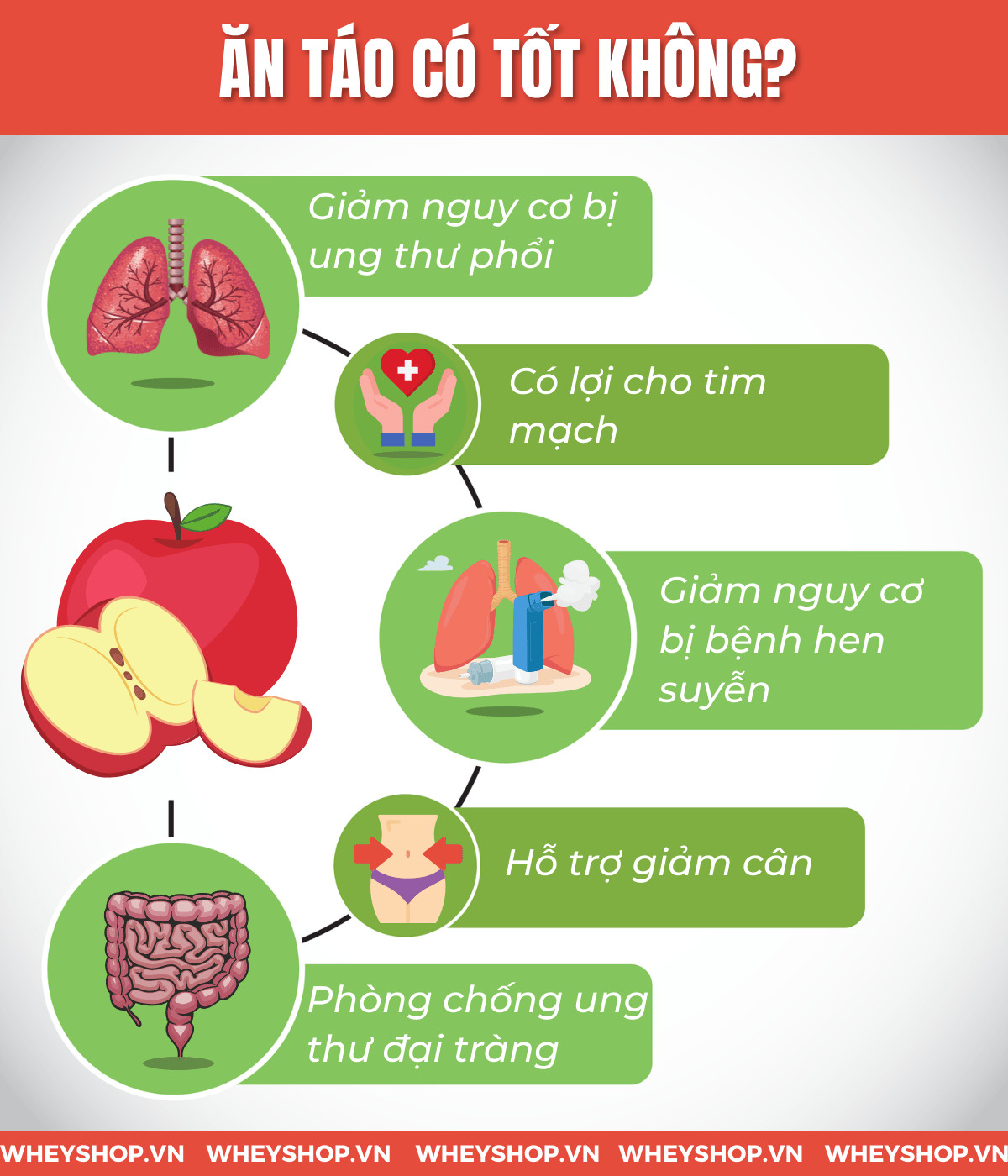 Tập thái cực quyền là bài tập dưỡng sinh với những lợi ích bất ngờ mà nó mang lại cho sức khỏe và tinh thần. Bài viết này sẽ cung cấp cho bạn thông tin đầy...