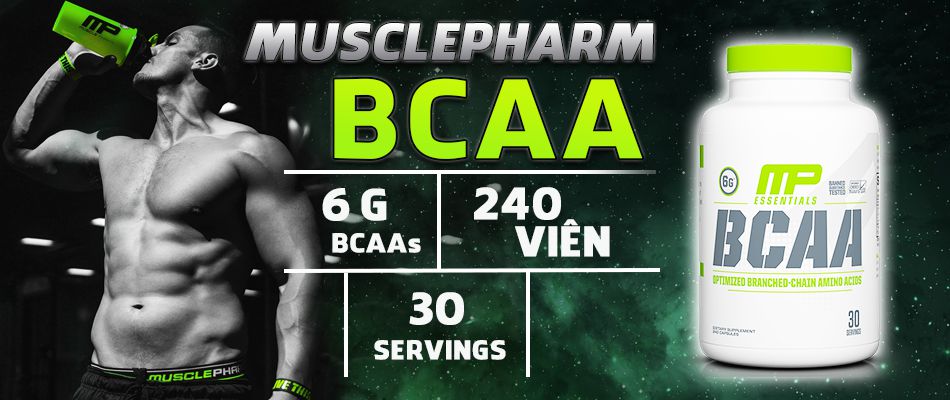 BCAA là một trong những sản phẩm quen thuộc của người tập gym, thể hình. Hãy cùng chúng tôi tìm hiểu 3 lý do để khẳng định BCAA đốt mỡ...