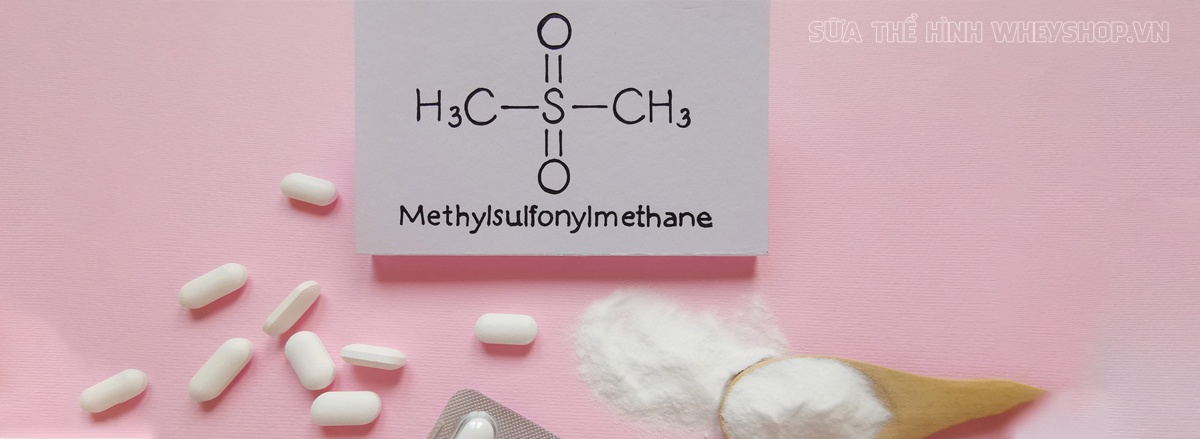 MSM là gì? Cùng tìm hiểu MSM có công dụng như nào đối với sự phát triển xương khớp chắc khỏe, hiệu quả với người tập gym, chơi thể thao ... qua bài viết sau nhé