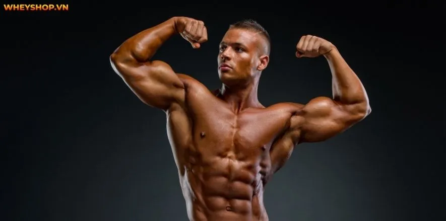 Whey Protein là thực phẩm bổ sung hàng đầu cho người tập gym tăng cơ bắp. Vậy mua Whey Protein ở đâu giá rẻ uy tín tại TpHCM, tìm hiểu ngay qua bài viết ...