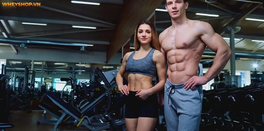 Whey Protein là thực phẩm bổ sung hàng đầu cho người tập gym tăng cơ bắp. Vậy mua Whey Protein ở đâu giá rẻ uy tín tại TpHCM, tìm hiểu ngay qua bài viết ...