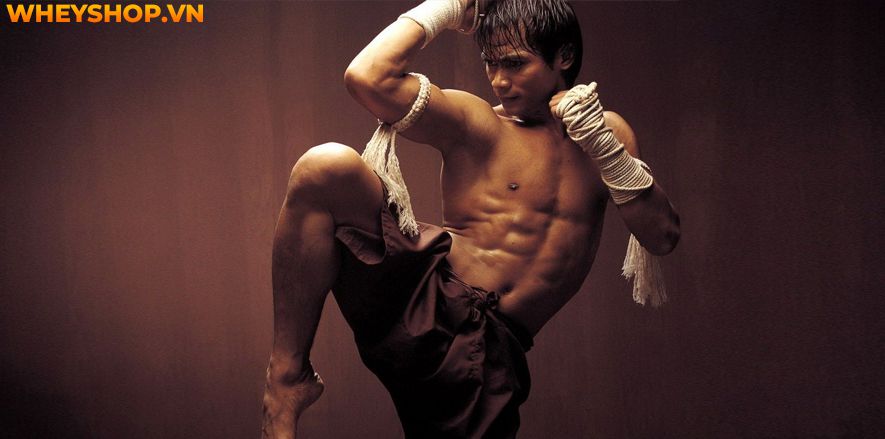 Mặc dù muay thai là một môn võ thuật nổi bật, nhưng cũng có một yếu tố gọi là clinch (vật lộn) cho phép người sử dụng có thể ra đòn và vật lộn với đối thủ...