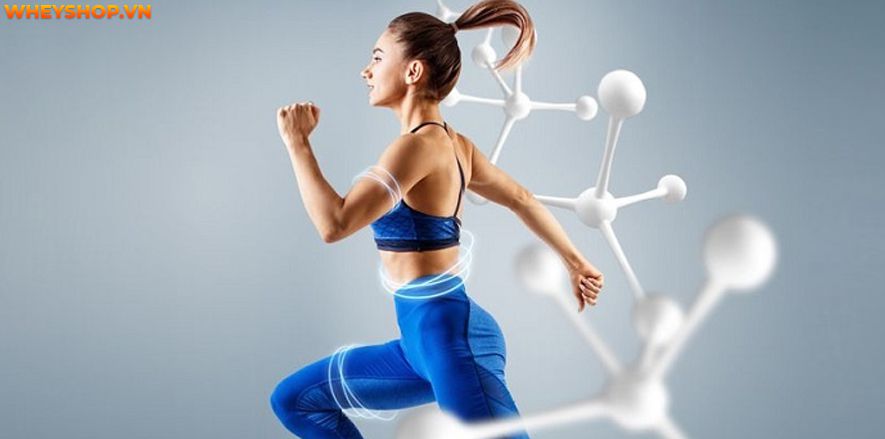 MultiVitamin tổng hợp là gì ? MultiVitamin có mang tới nhiều lợi ích tuyệt vời cho sức khỏe như lời đồn hay không ? Cùng tìm hiểu chi tiết qua bài viết...