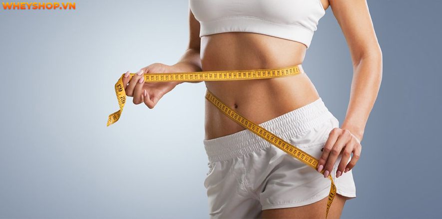 MultiVitamin tổng hợp là gì ? MultiVitamin có mang tới nhiều lợi ích tuyệt vời cho sức khỏe như lời đồn hay không ? Cùng tìm hiểu chi tiết qua bài viết...