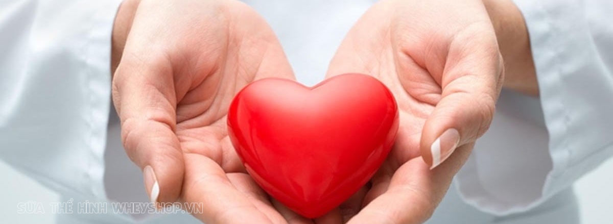 MultiVitamin tổng hợp là gì ? MultiVitamin có mang tới nhiều lợi ích tuyệt vời cho sức khỏe như lời đồn hay không ? Cùng tìm hiểu chi tiết qua bài viết...