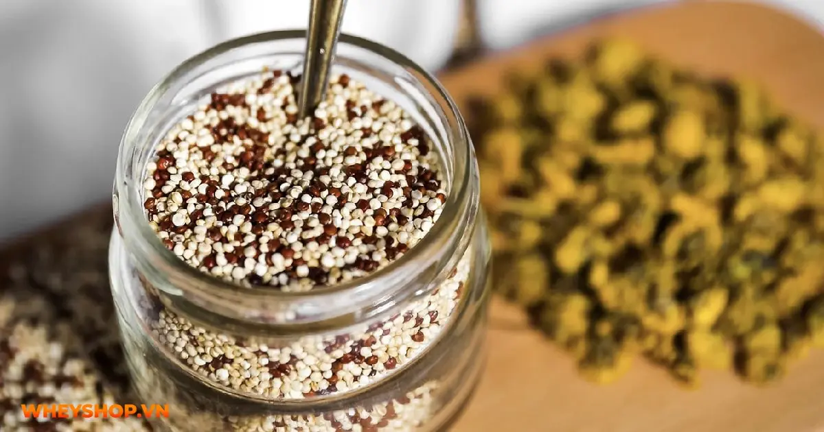 muon-tang-co-nen-an-gi-03-min