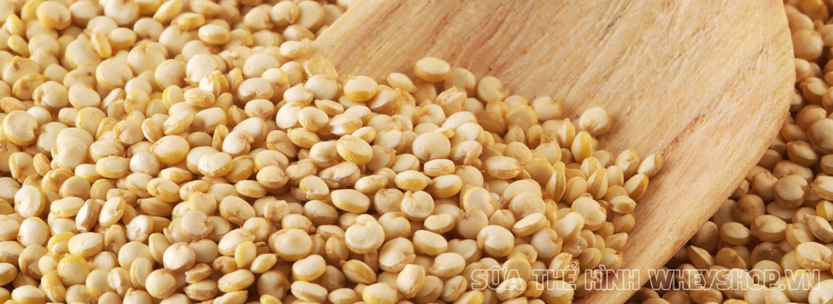 Người tập thể hình nào cũng mong muốn tăng cơ, vậy muốn tăng cơ nên ăn gì? Cùng WheyShop tìm hiểu top 30 thực phẩm tự nhiên tăng cơ hiệu quả nhất qua bài viết..