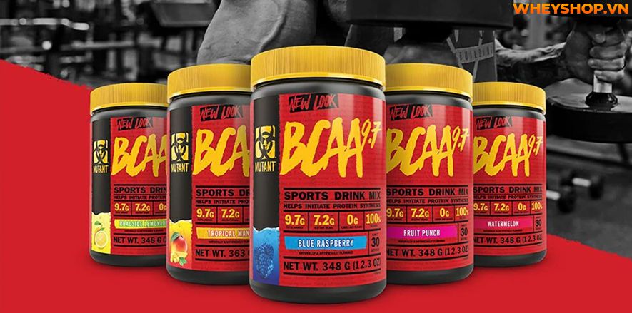 Nếu bạn đang băn khoăn chưa rõ Mutant BCAA vị nào ngon thì hãy cùng WheyShop tìm hiểu chi tiết về hương vị của Mutant BCAA ngay nhé...