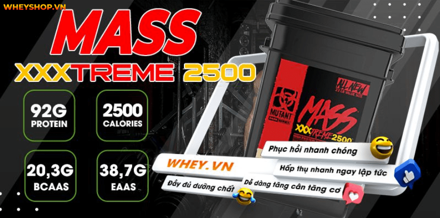Mutant Mass XXXtreme đã cải tiến nhiều so với phiên bản huyền thoại Mutant Mass. WheyShop sẽ đánh giá Mutant Mass XXXtreme có tốt không ngay dưới đây nhé!