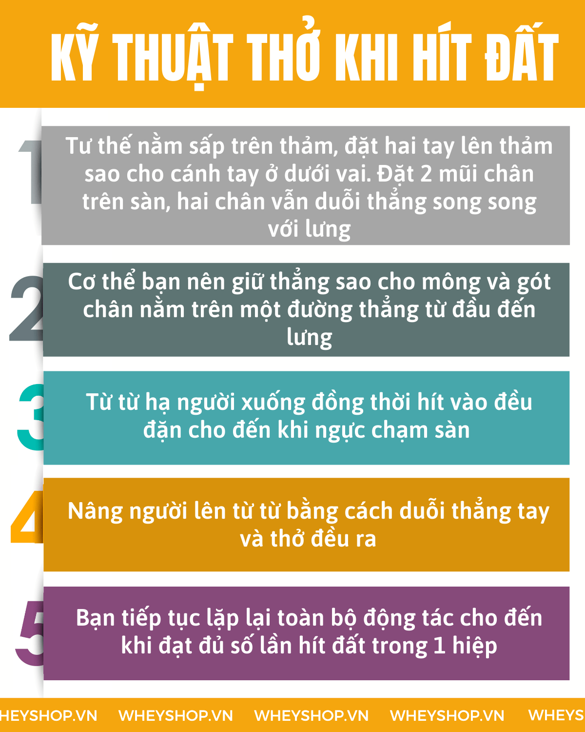 Nếu bạn hít đất 100 cái mỗi ngày thì điều gì sẽ xảy ra? Hãy cùng WheyShop tìm hiểu chi tiết bài viết ngay sau đây nhé...