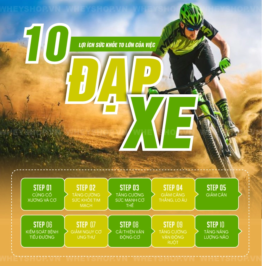 Đạp xe thường xuyên giúp giảm nguy cơ mắc các bệnh hiểm nghèo liên quan đến tim và ung thư. Vậy nên đạp xe bao nhiêu phút mỗi ngày? Bí quyết đạp xe giảm cân