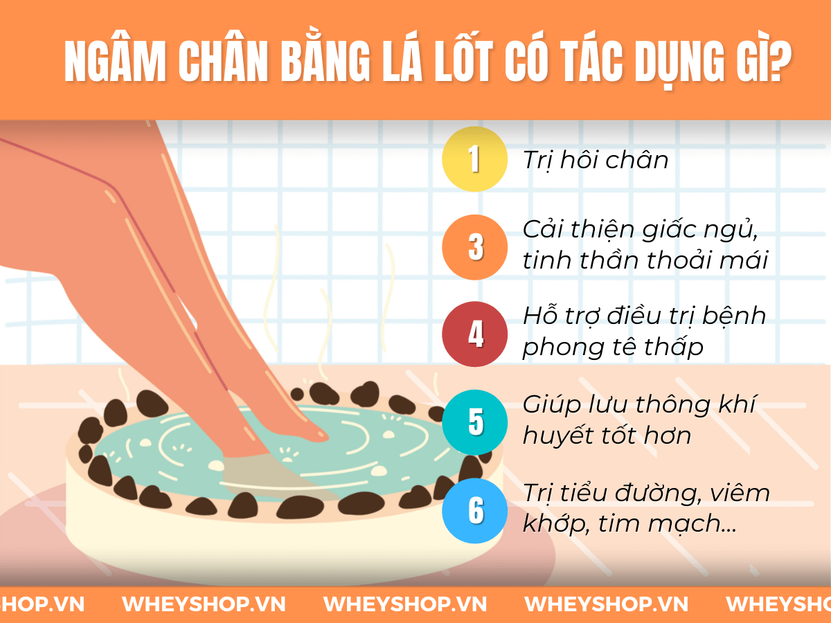 Lá lốt có chứa nhiều tinh dầu có tác dụng kháng viêm hiệu quả. Cách ngâm chân bằng lá lốt từ lâu đã trở nên phổ biến. Tuy nhiên, không phải tất cả mọi đối...