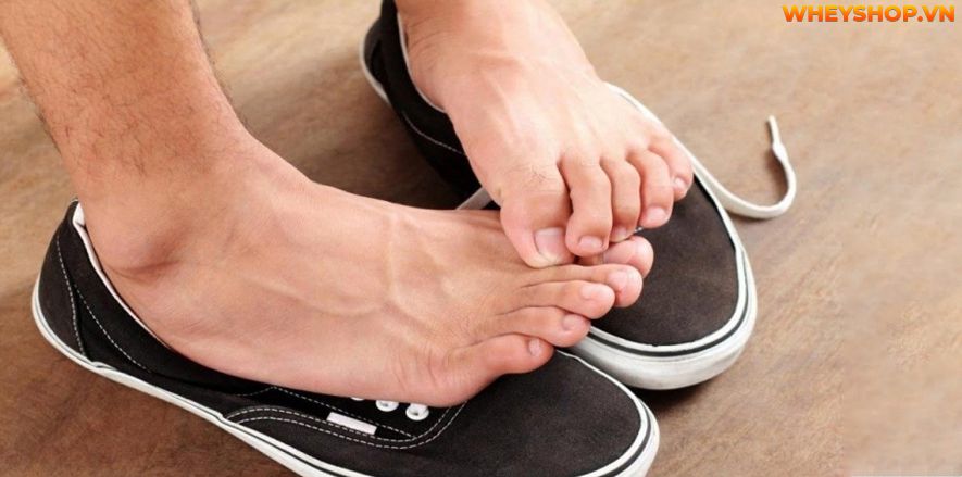 Lá lốt có chứa nhiều tinh dầu có tác dụng kháng viêm hiệu quả. Cách ngâm chân bằng lá lốt từ lâu đã trở nên phổ biến. Tuy nhiên, không phải tất cả mọi đối...