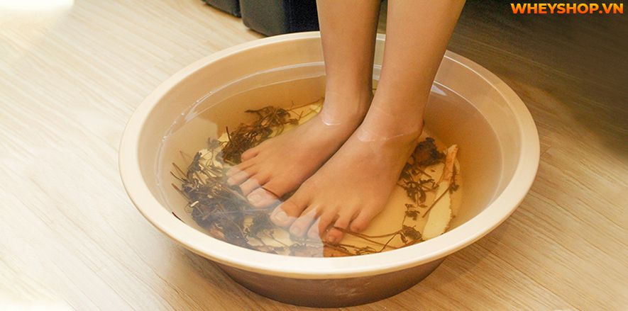 Lá lốt có chứa nhiều tinh dầu có tác dụng kháng viêm hiệu quả. Cách ngâm chân bằng lá lốt từ lâu đã trở nên phổ biến. Tuy nhiên, không phải tất cả mọi đối...