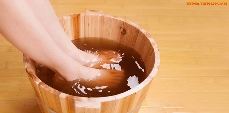 Lá lốt có chứa nhiều tinh dầu có tác dụng kháng viêm hiệu quả. Cách ngâm chân bằng lá lốt từ lâu đã trở nên phổ biến. Tuy nhiên, không phải tất cả mọi đối...