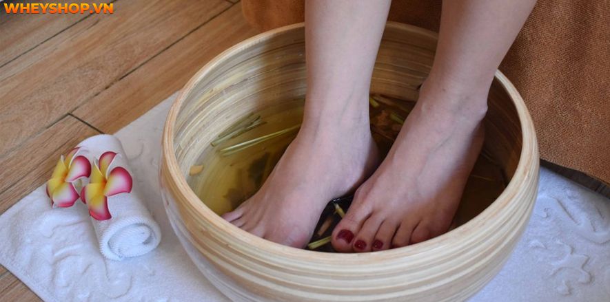 Lá lốt có chứa nhiều tinh dầu có tác dụng kháng viêm hiệu quả. Cách ngâm chân bằng lá lốt từ lâu đã trở nên phổ biến. Tuy nhiên, không phải tất cả mọi đối...