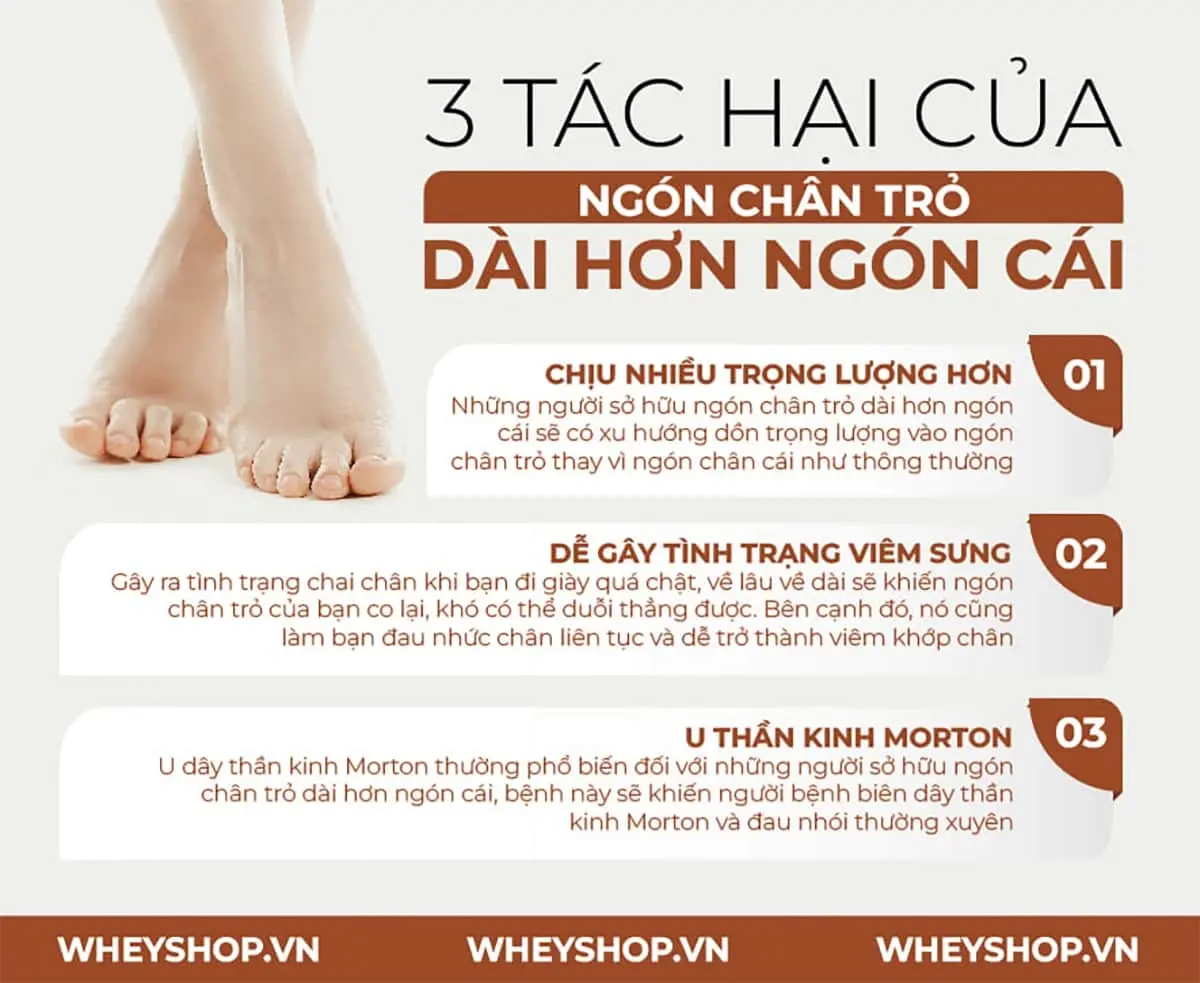 ngon-chan-tro-dai-hon-ngon-cai-5