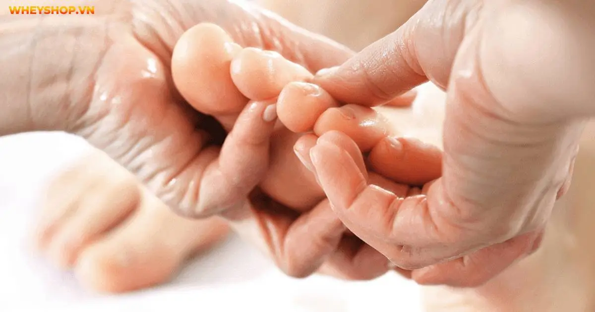 ngon-chan-tro-dai-hon-ngon-cai-5