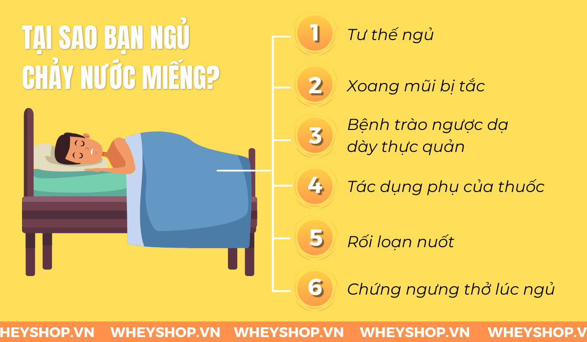Hiện tượng ngủ chảy nước miếng (còn gọi là ngủ bị chảy dãi) làm không ít người cảm thấy khó chịu, mất vệ sinh. Vậy ngủ chảy nước miếng là hiện tượng gì ?...