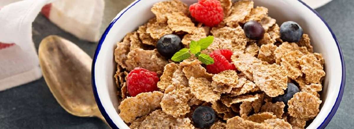 ngu coc tang can co tot khong loi ich va cach lam ngu coc tang can