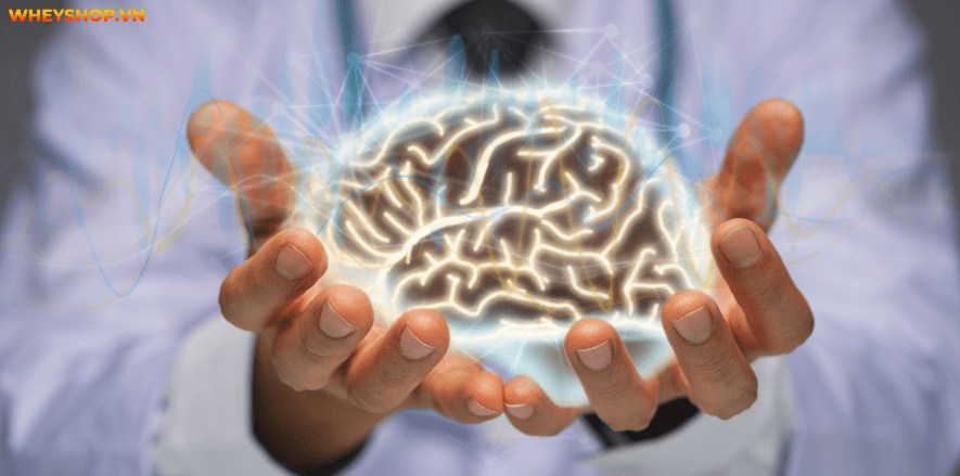 Một giấc ngủ ngắn chính là cách để hồi phục năng lượng trong cơ thể hay bù cho giấc ngủ đêm còn thiếu. Hãy cùng WheyShop tìm hiểu: Ngủ trưa bao lâu là đủ nhé!