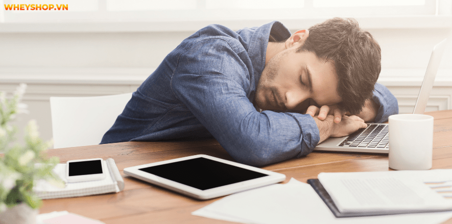Một giấc ngủ ngắn chính là cách để hồi phục năng lượng trong cơ thể hay bù cho giấc ngủ đêm còn thiếu. Hãy cùng WheyShop tìm hiểu: Ngủ trưa bao lâu là đủ nhé!