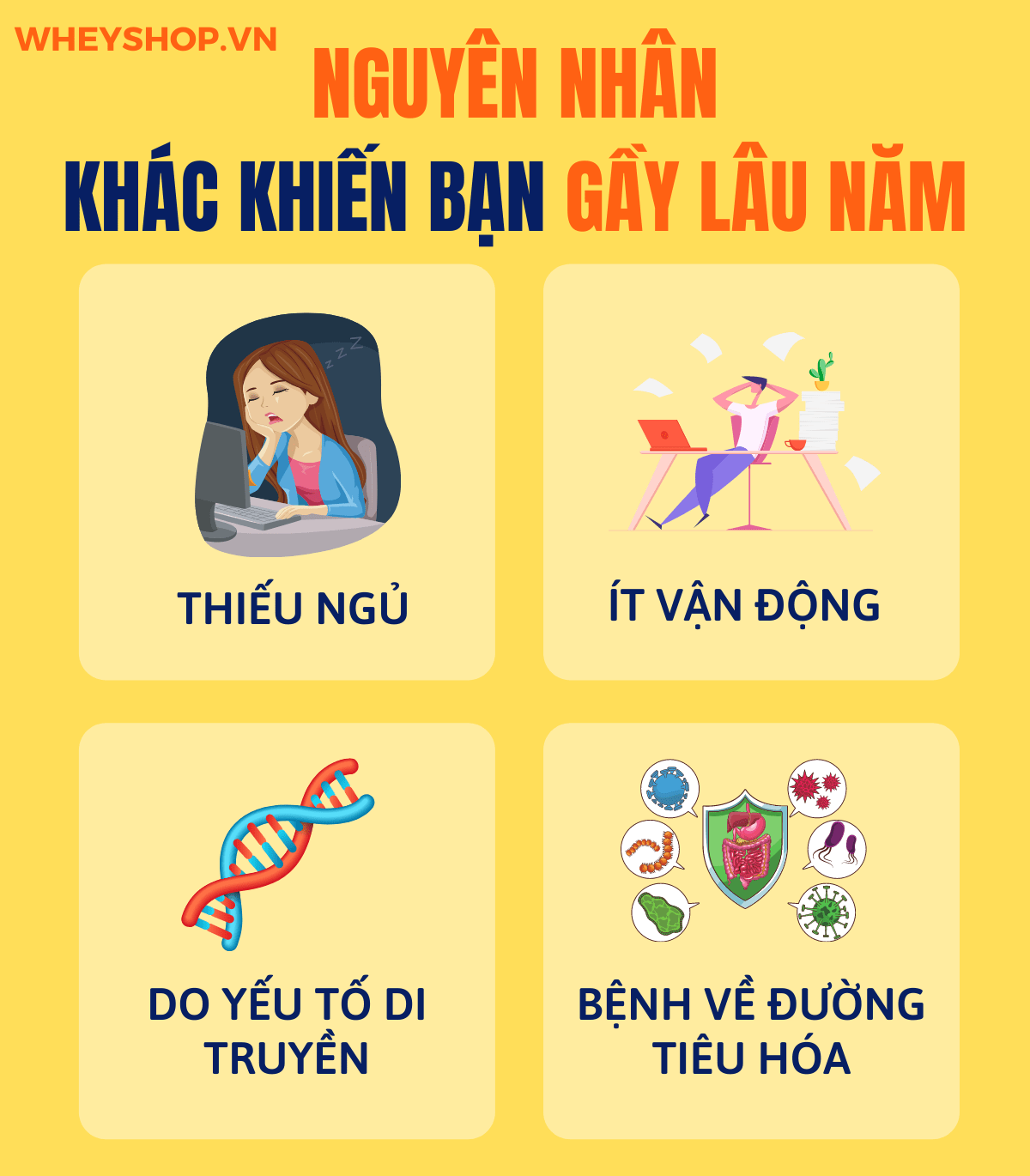 Nếu bạn đang băn khoăn thắc mắc người gầy nên ăn gì để tăng cân thì hãy cùng WheyShop tham khảo chi tiết bài viết ngay sau đây...